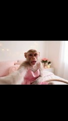 القردة ليلي  #fyp #viral #for #explore #lili #foru