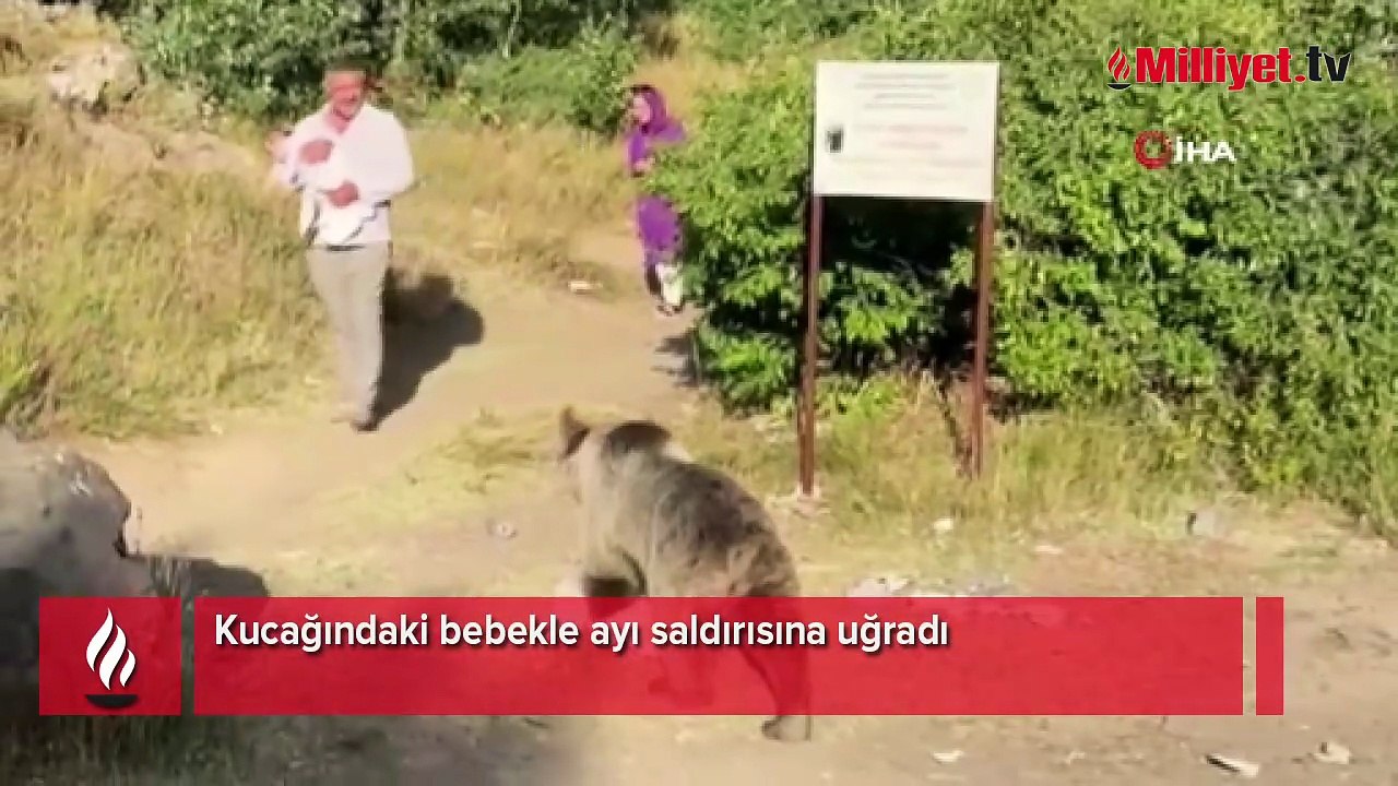 Kucağında bebekle ayı saldırısına uğradı