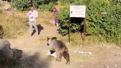 Bebekle gezi kabusa döndü! Ayı ailenin üzerine saldırdı, panik anları kamerada