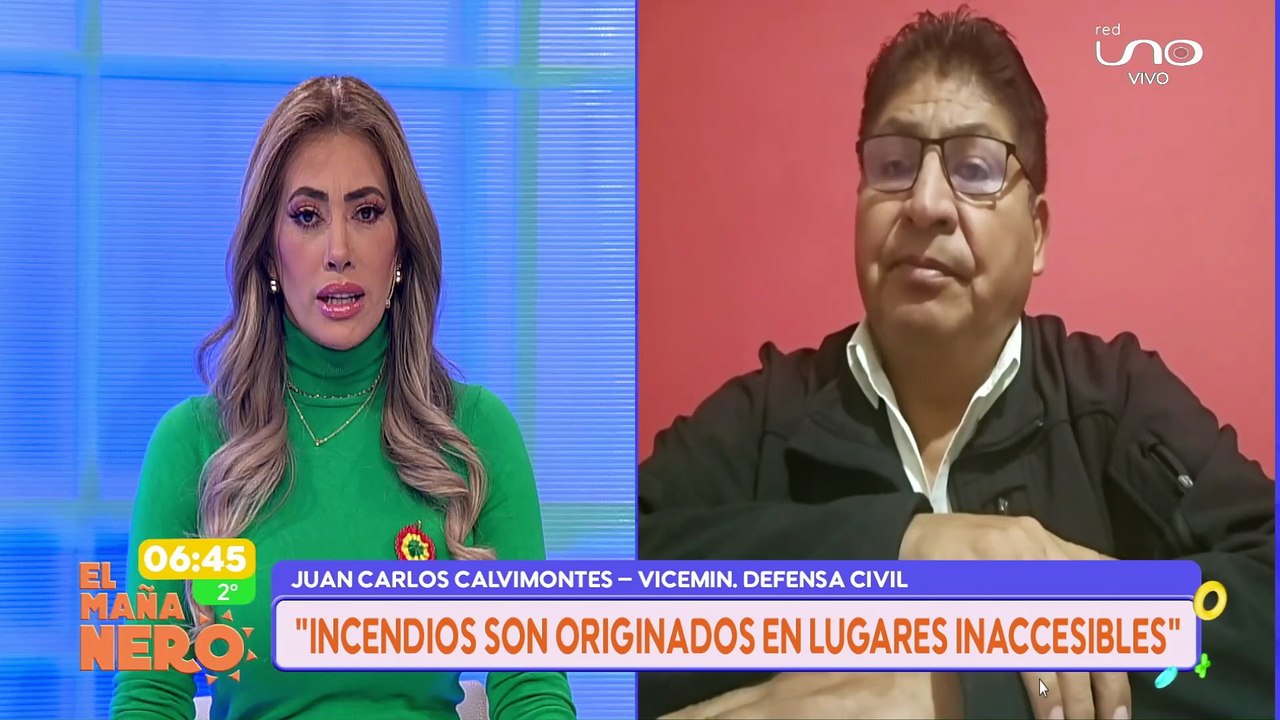VICEMINISTRO SOBER INCENDIOS