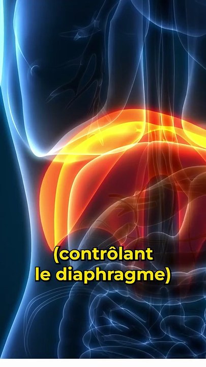 Est-ce que tu t'es déjà demandé pourquoi péter et éternuer provoquait un screenshot ?