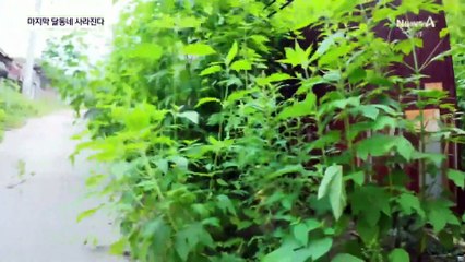 ‘서울 마지막 달동네’ 백사마을, 대단지 아파트로