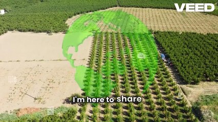 Agricultural Consulting on a Global Scale | Advisor Tips for Farm Success - John Sedgwick St. Louis