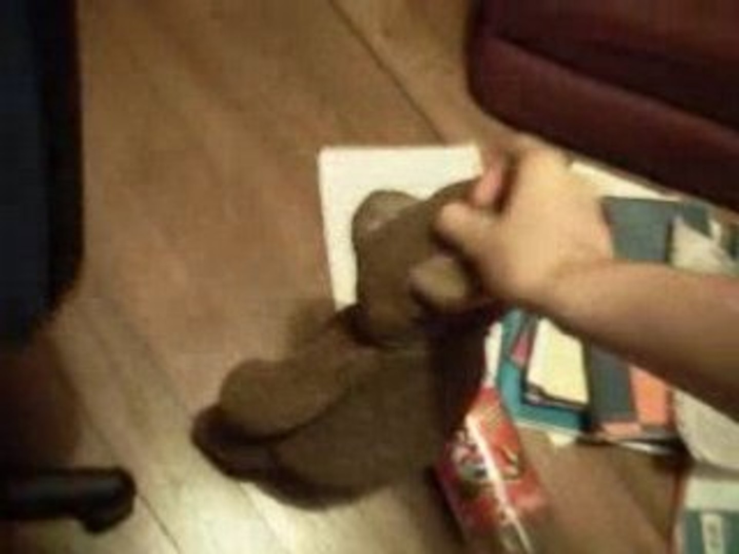 L'histoire de martin l'ours