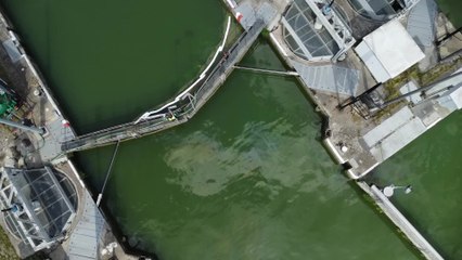 Un pétrolier a perdu 10.000 litres de mazout dans le canal Albert à Olen