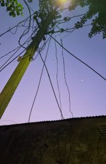 61 जगह बिजली चोरी पकड़ी