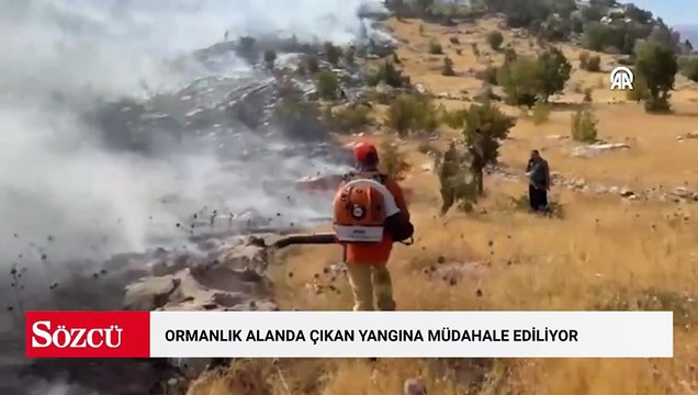 Bingöl'de ormanlık alanda çıkan yangına müdahale ediliyor