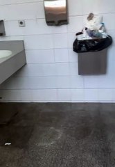 Usuarios indignados por las cucarachas en la estación de tren