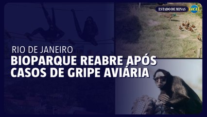 BioParque reabre no Rio de Janeiro após casos de gripe aviária