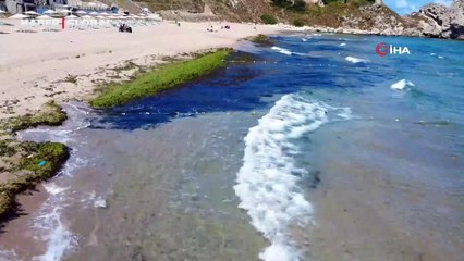 Şile’de deniz adeta yosun kustu