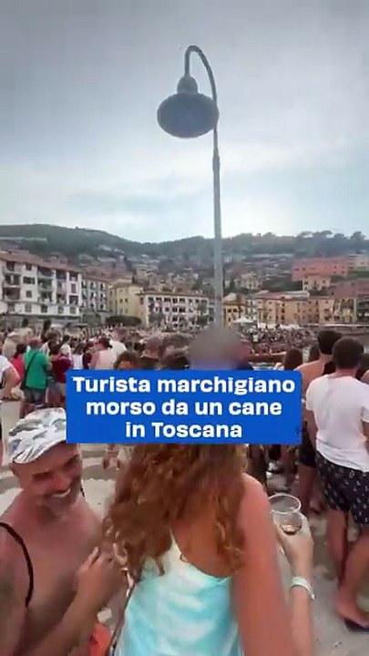 Turista marchigiano morso da un cane in Toscana: video