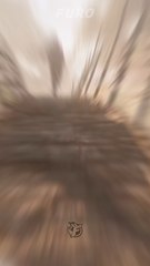 HELL LET LOOSE is Back. (And It's Different) - 100 Players. Helicopters. Tunnels. Vietnam!