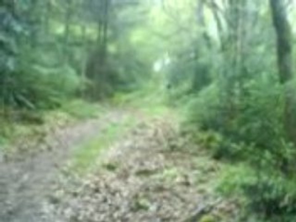 Descente