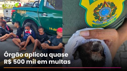 Polícia prende oito pessoas por tráfico de animais em operação conjunta com o Ibama no RJ