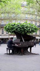 If only the first signs of spring were blooming