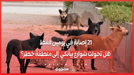 21 إصابة في يومين فقط.. هل تحولت شوارع _بيانكي_ إلى منطقة خطر؟