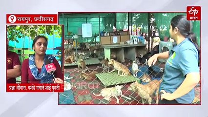 वाटिका एनिमल सैंक्चुअरी: यहां होता है बीमार और घायल कुत्तों का इलाज, 4 वक्त मिलता है खाना