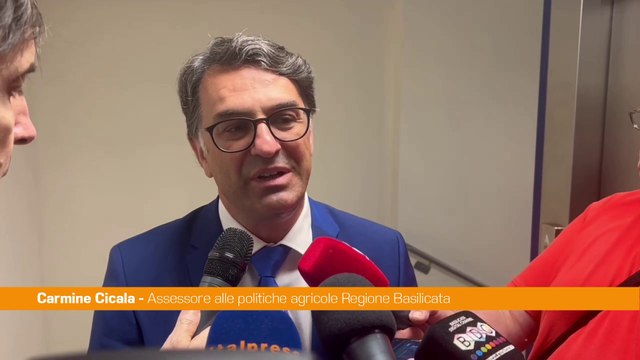 In Basilicata finanziate nuove imprese agricole condotte da giovani