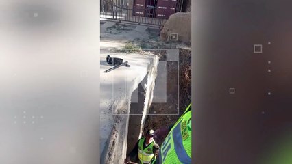 “Un bombero nunca olvida sus raíces”: estudiantes de Cefotes rescatan a un perrito en Cochabamba