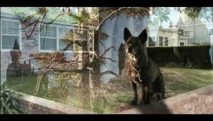 The Amazing Wizard of Paws | movie | 2015 | Official Trailer