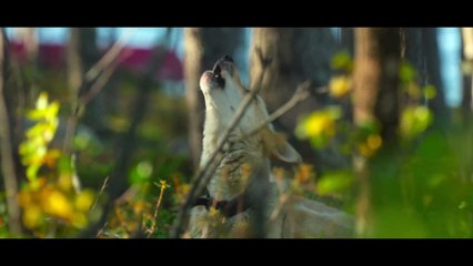 Folktales | movie | 2025 | Official Trailer