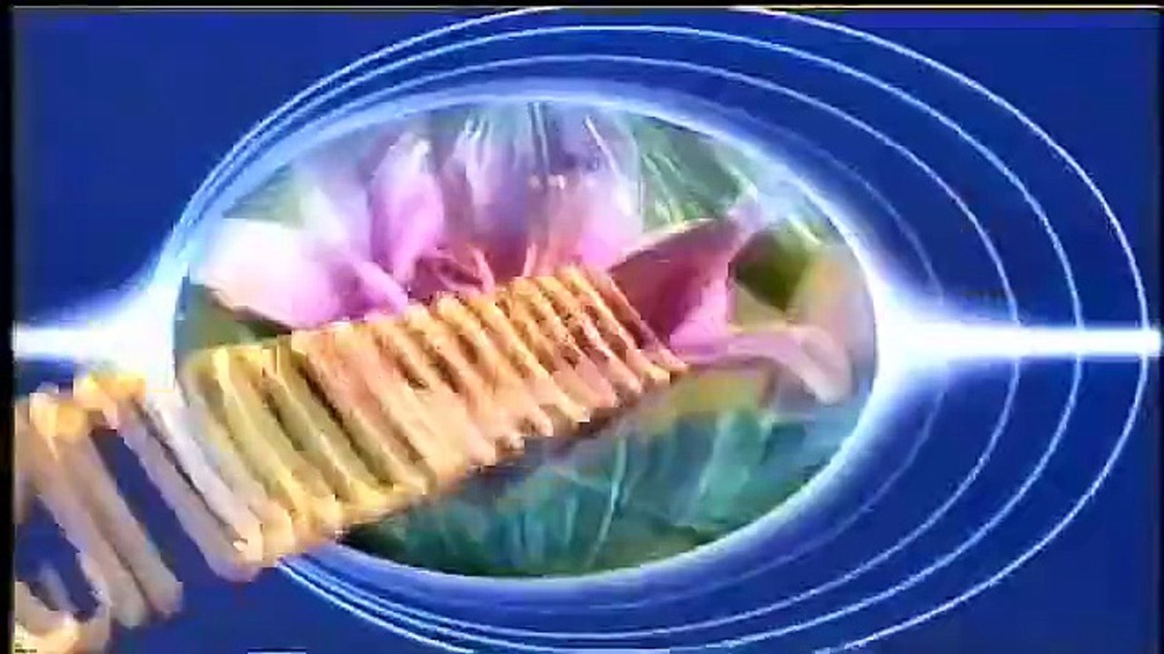 PTV 1995 program  presenting advertise