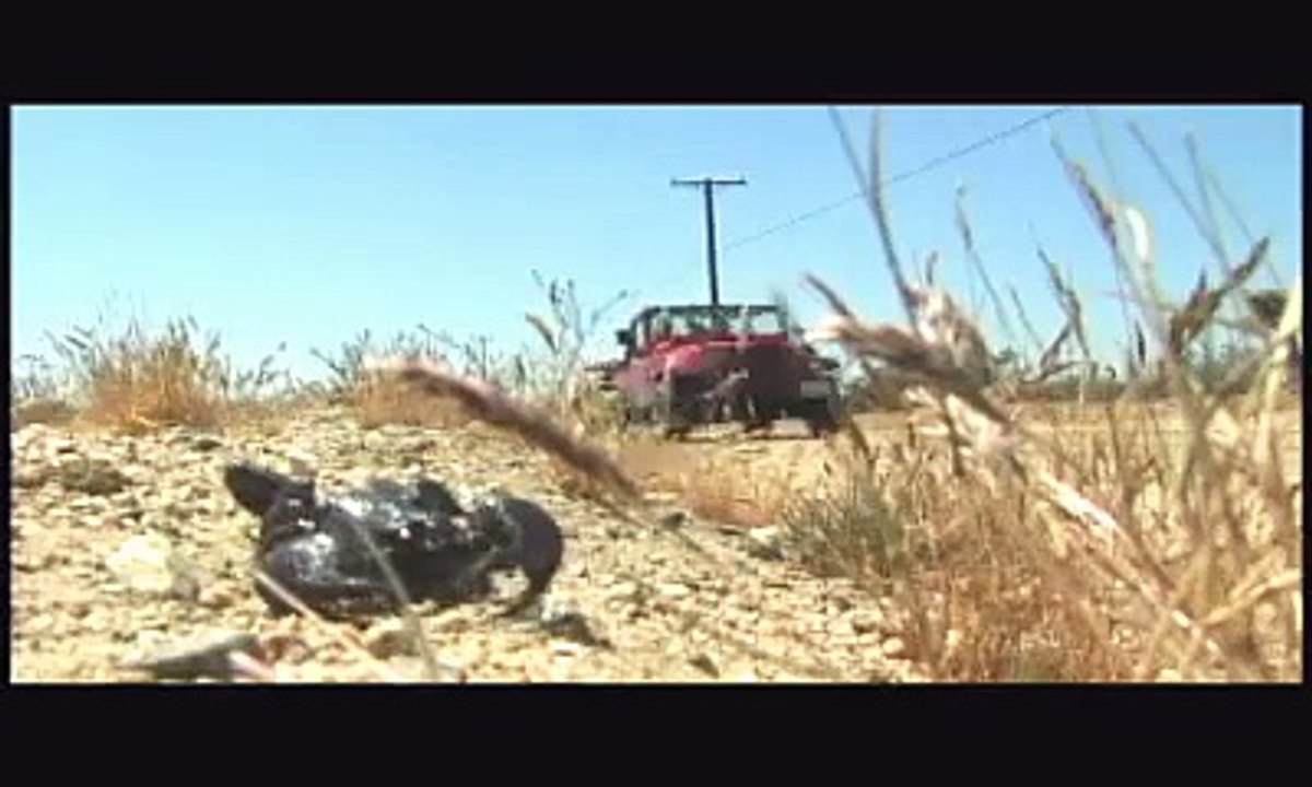 Legend of the Sandsquatch | movie | 2006 | Official Trailer - video ...