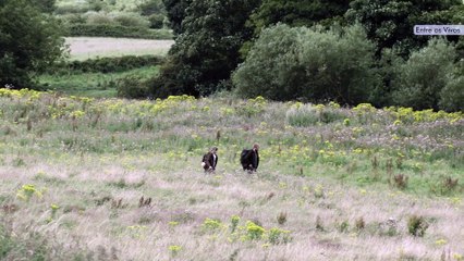 Entre os Vivos | movie | 2022 | Official Trailer