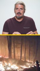 Quemar para recalificar: el bulo tras los incendios