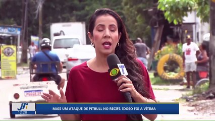 Mais um ataque de Pitbull no Recife. Idoso foi a vítima