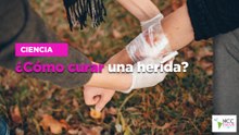 ¿Cómo curar una herida?