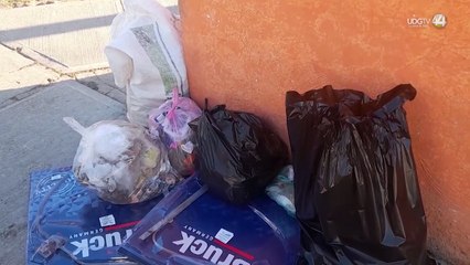 Solamente Villa Hidalgo de la Región Altos Norte cumple con la normativa de vertederos: JIAN