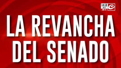 La revancha del Senado: legisladores buscan limitar los DNU