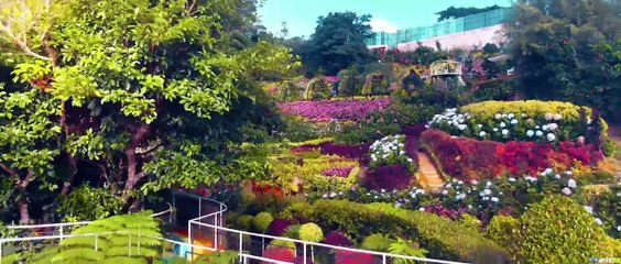 Exciting Tagalog VMAX Movie: An 18+ Action-Packed Adventure 🎬