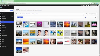 Wordpress.com - Lesson 145 - Editing Media Library Image Details