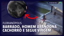 Barrado, homem abandona cão em aeroporto e segue viagem