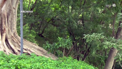 PRI exige freno a torre en Colomos: "No entrará ni una máquina, aunque nos lleven a la cárcel"
