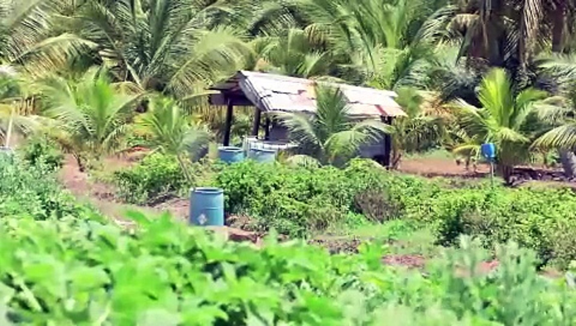 ⁣FOOD SUSTAINABILITY IS TRUE INDEPENDENCE