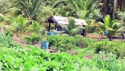 FOOD SUSTAINABILITY IS TRUE INDEPENDENCE