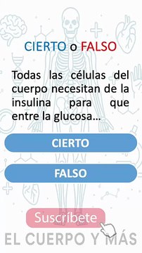 Shorts de diabetes - Parte 7 #elcuerpoymas #medicina #salud #diabetes
