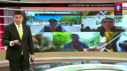 Hallan cocodrilo en drenaje de fraccionamiento de Medellín de Bravo en Veracruz