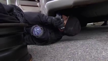 Border Security America Inside- Smuggling Job Suspected at JFK Airport