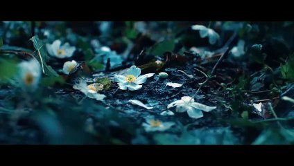 ANEMONE Official Trailer (2025) Daniel Day-Lewis, Sean Bean