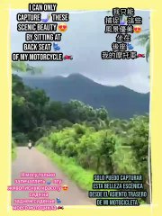 Immerse yourself in the wild beauty of untamed landscapes!  #Viral #Trend #NatureLovers #JungleAdventure