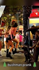 Bushman prank #usa #funny #scarecam #foryou #funnyprank #fyp #bushmanprank