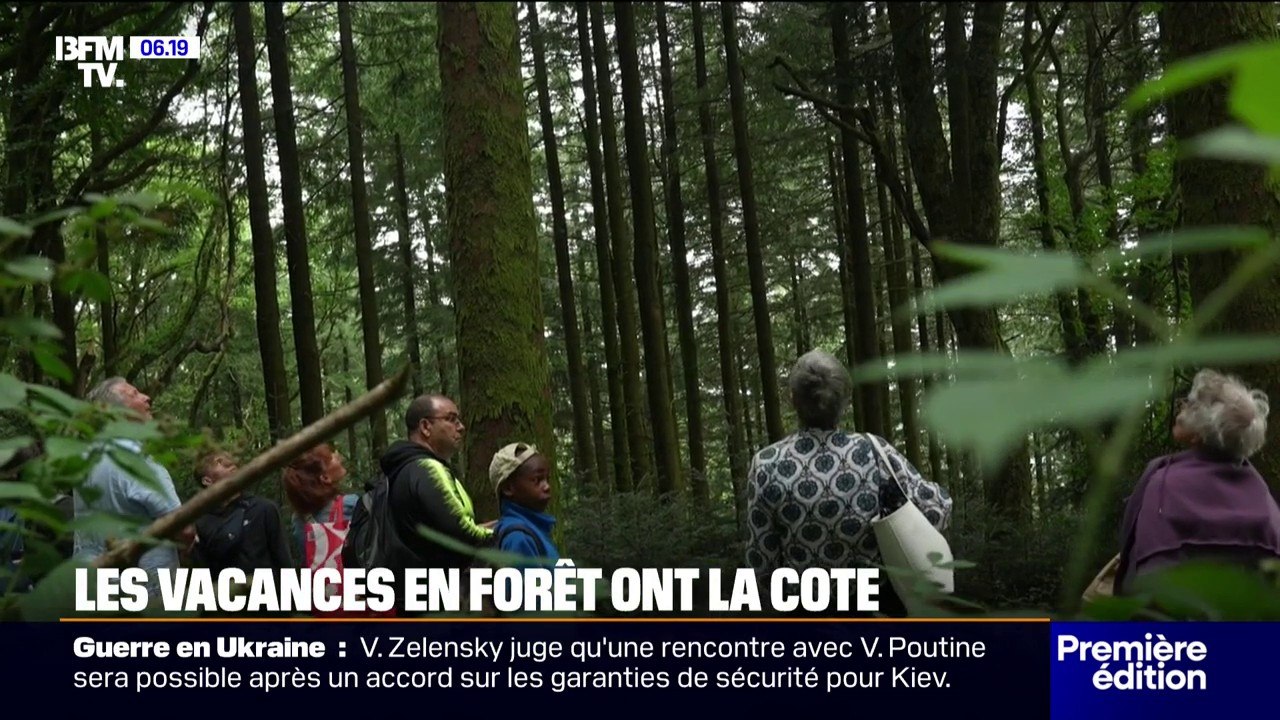 "C'est un lieu où les gens ont tendance à lâcher": les vacances en forêt de plus en plus prisées par les Français