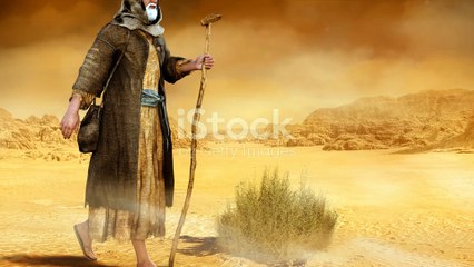 Moses and the Noble Man (khidr): A Journey of Wisdom #trending