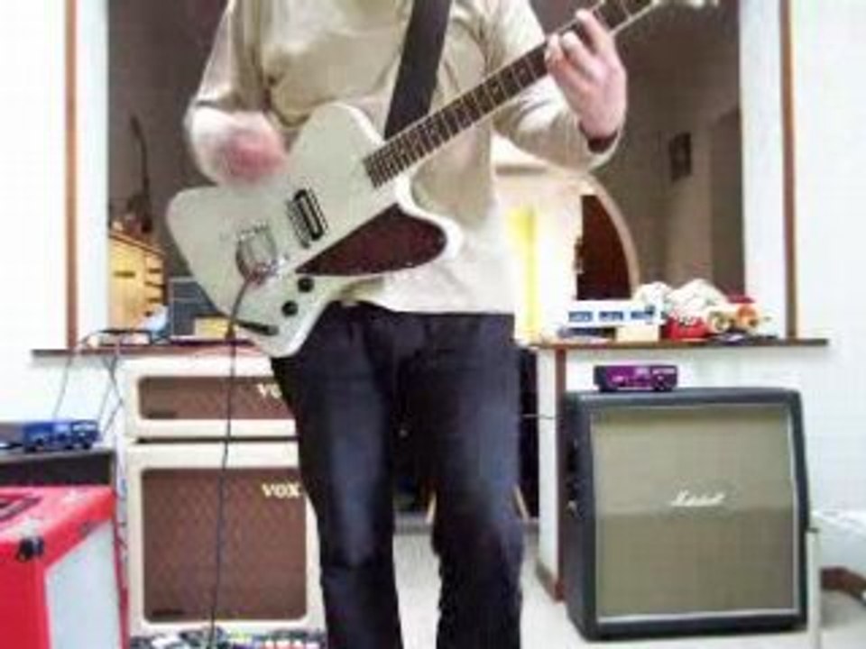 Lap King DuMont Leatherbird 01