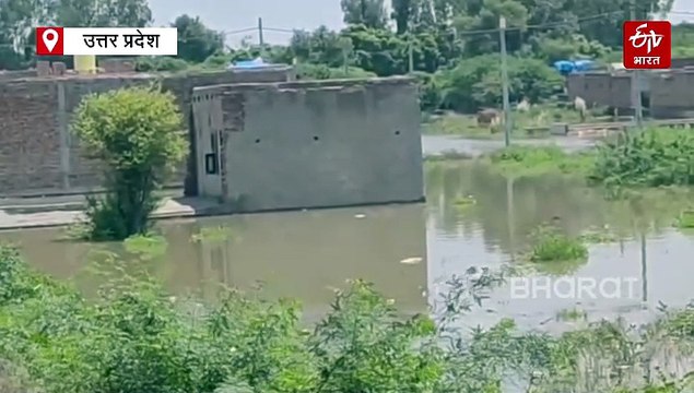 यूपी में बाढ़-बारिश LIVE; आगरा में मंदिर-घाट डूबे, मथुरा में भी बाढ़ जैसे हालात