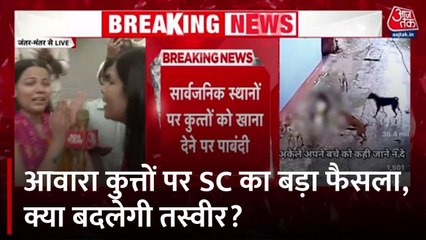 आवारा कुत्तों पर SC का फैसला, जानें पब्लिक फीडिंग, शेल्टर होम-टीकाकरण पर क्या कहा?
